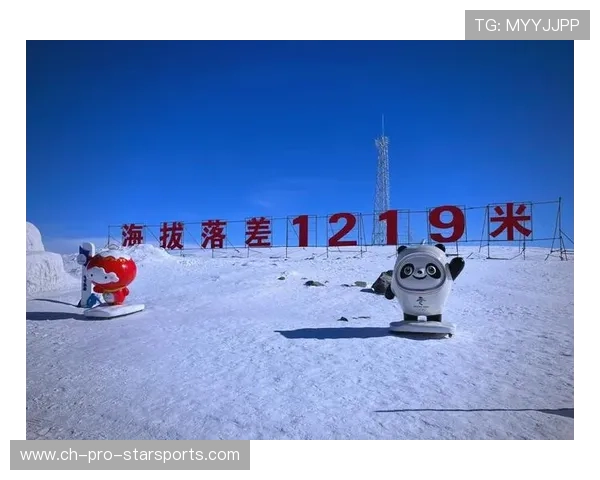 世界冠军滑雪挑战失败变“球”，背后藏着的勇气与坚持