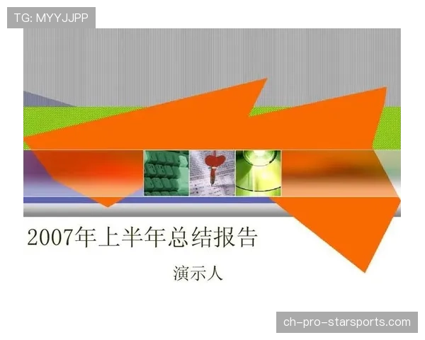 阶段性总结报告
