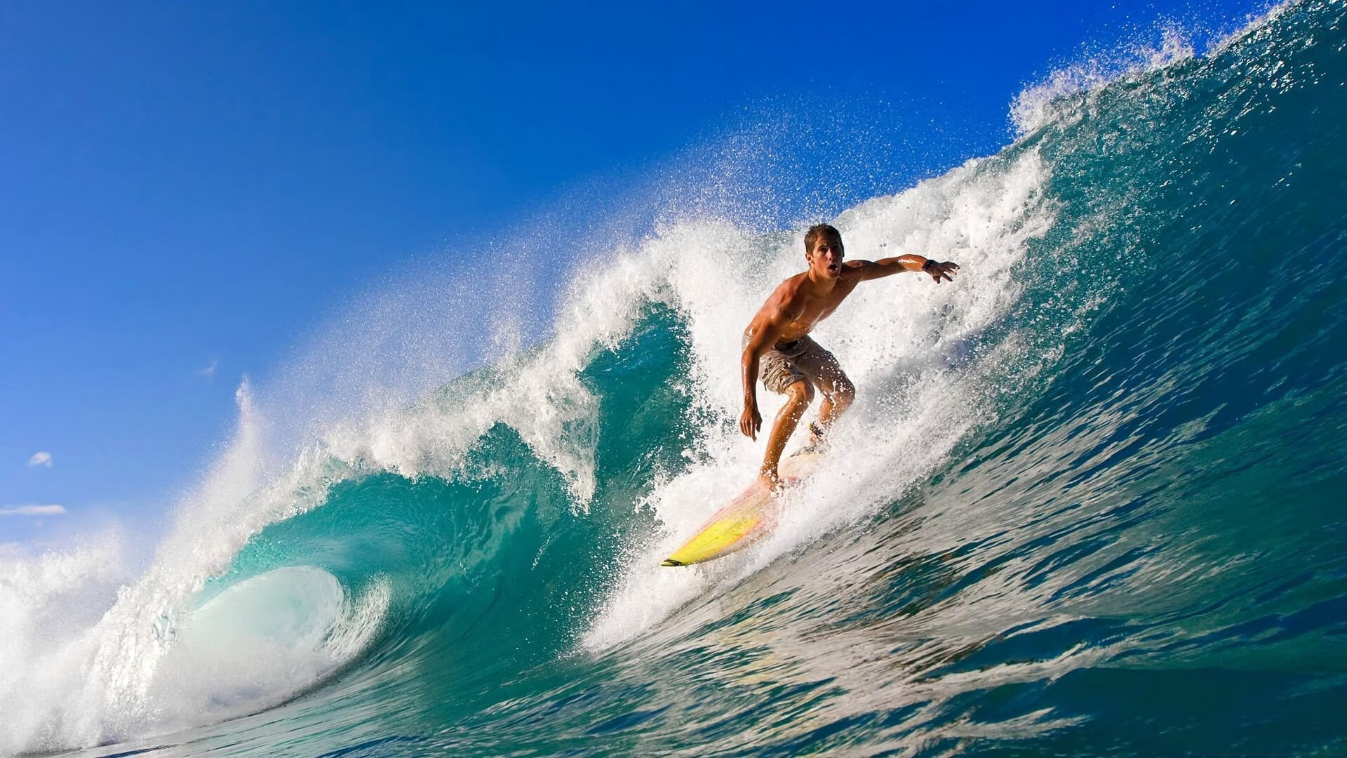 体育版权交易市场化趋势明显,价值持续增长,pp体育 版权